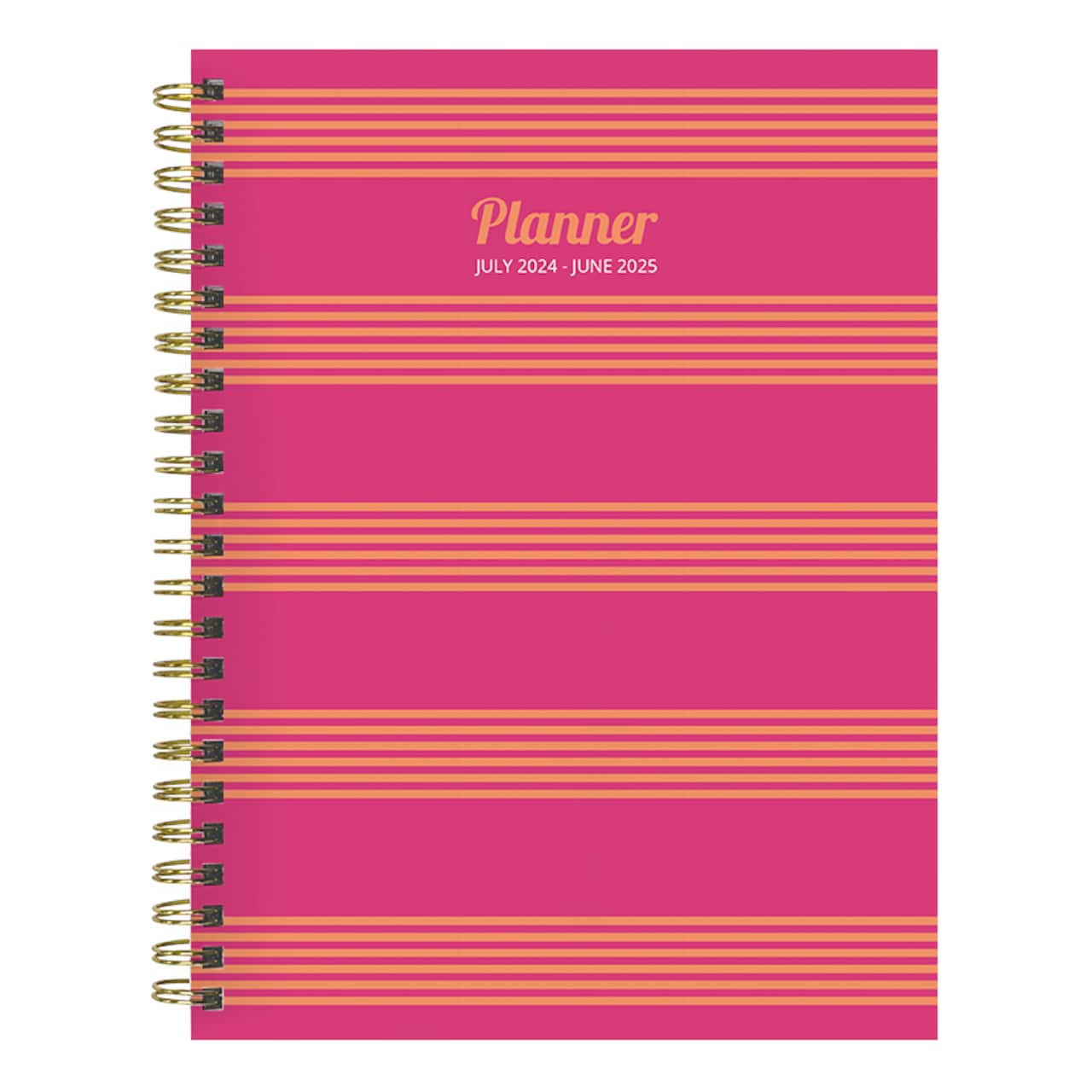 TF Publishing 2024 - 2025 Cabana Stripe Medium Spiral Planner